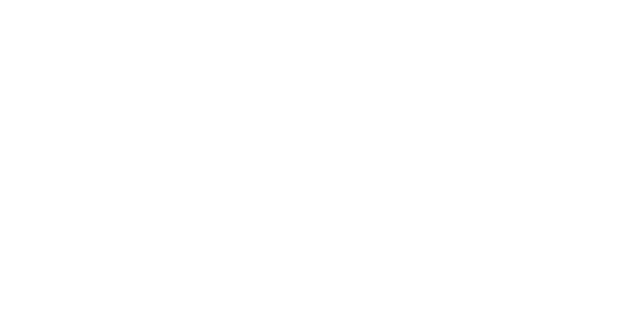 Rainey & Rainey Attorneys At Law PLLC